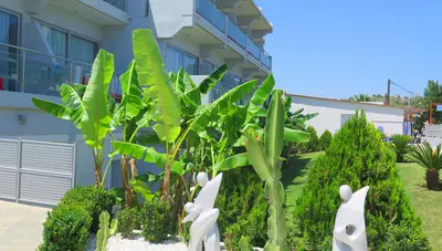 Rhodos - Kolymbia - Hotel Kolymbia Bay Art - exteriér Rhodos - Kolymbia - Hotel Kolymbia Bay Art - exteriér