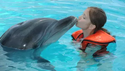 Turecko - Bozk delfínovi