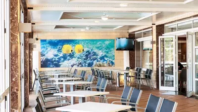 Španielsko - Mallorca - S'Illot - hotel Mariant - reštaurácia Španielsko - Mallorca - S'Illot - hotel Mariant - reštaurácia