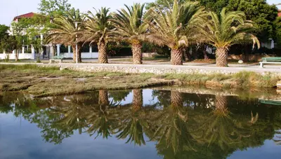 Privlaka - Parádnice Privlaka - Parádnice