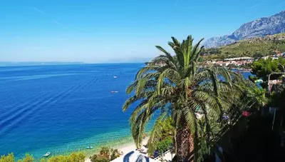 Chorvátsko - Podgora - Hotel Aurora - okolie Chorvátsko - Podgora - Hotel Aurora - okolie