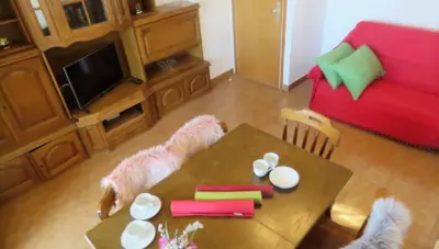 Chorvátsko - Omiš - Apartmány Musac - C7 - denná miestnosť