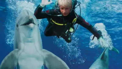 Riccione - Potápač Riccione - Potápač