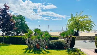 Bulharsko - Slnečné pobrežie - Hotel Bellevue - pohľad na pláž
