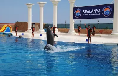 Delfinárium Sealanya - predvádzanie delfínov