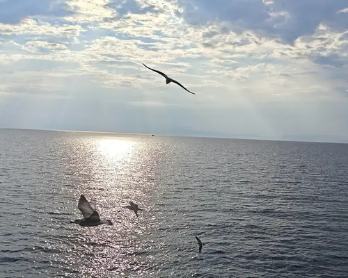 Grécko - Thassos - Skala Panagia - štúdiá Afroditi - Soňa Strieborná - foto1