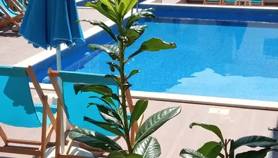 Čierna Hora - Čanj - penzión Lara Lux - bazén