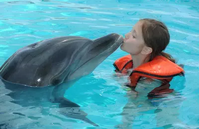 Delfinárium