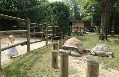 Taliansko - Emma Václavková - Zoo Punta Verde