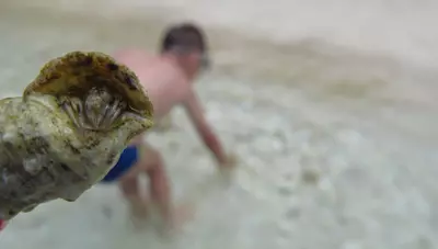 Thassos - Lovec pokladov Thassos - Lovec pokladov