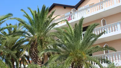 Chorvátsko - Vodice - Penzión Sidro - Penzión Chorvátsko - Vodice - Penzión Sidro - Penzión