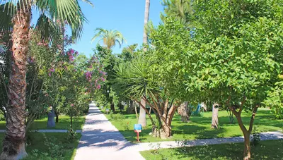 Turecko - Side - Hotel Sirma - areál hotela Turecko - Side - Hotel Sirma - areál hotela