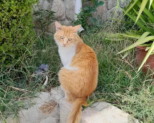 Thassos - Skala Panagia - Martina Sopkovičová - Foto 2