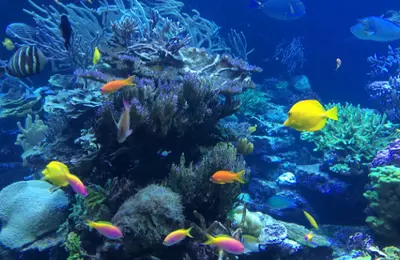 Tropicarium park