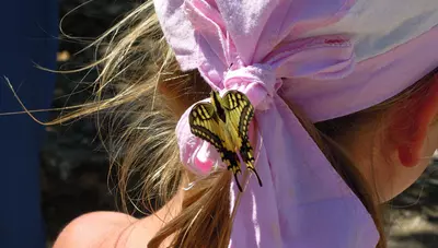 Riccione - Motýľ Riccione - Motýľ