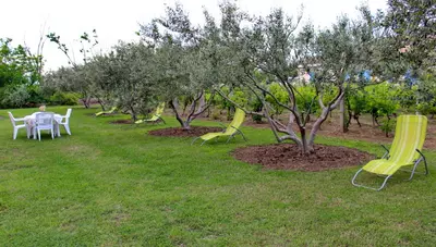 Chorvátsko - Nin - Dom Trstika - záhrada
