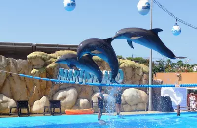 Marineland