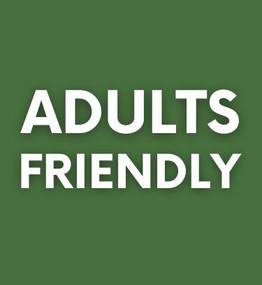 adults friendly 